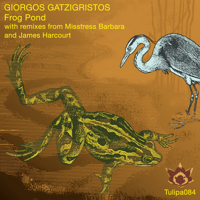 Frog Pond - Original Mix cover art