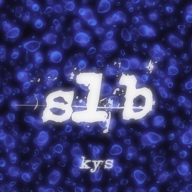 Slb cover art