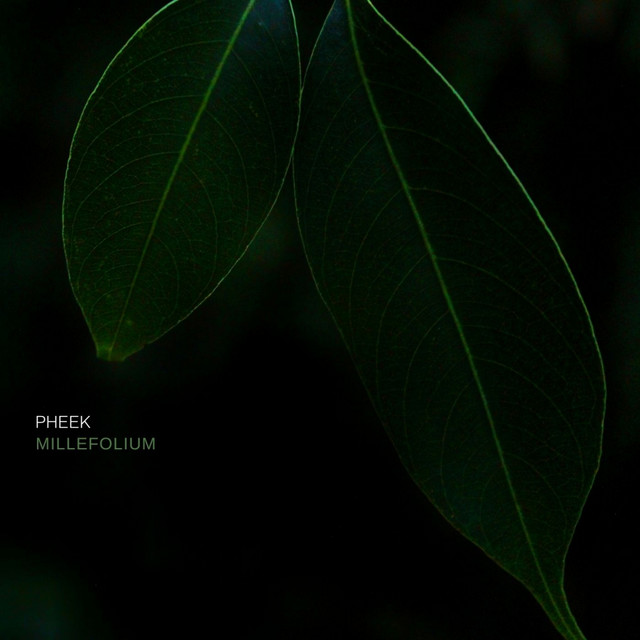 Millefolium cover art