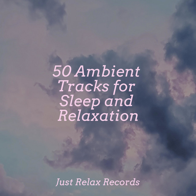 50 Ambient Tracks for Sleep and Relaxation - Album by Rising Higher ...