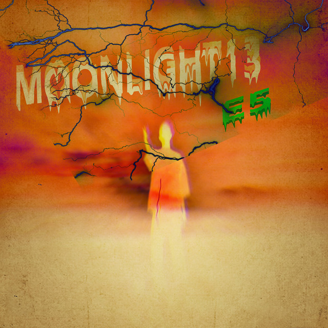MOONLIGHT13 cover