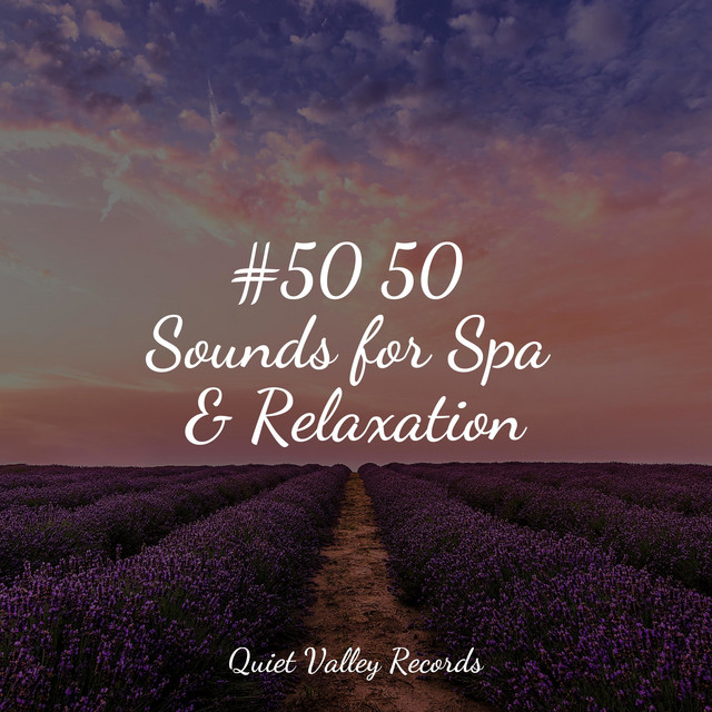 #50 50 Sounds for Spa & Relaxation For Dogs - Album by Deep Focus | Spotify