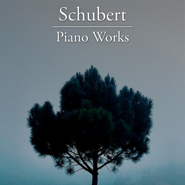 Schubert: Piano Works cover art
