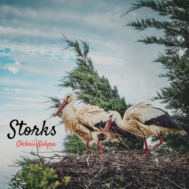 Обкладинка: Storks — Oleksii Kalyna