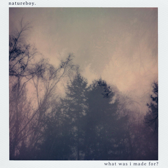 what was i made for? - lofi version