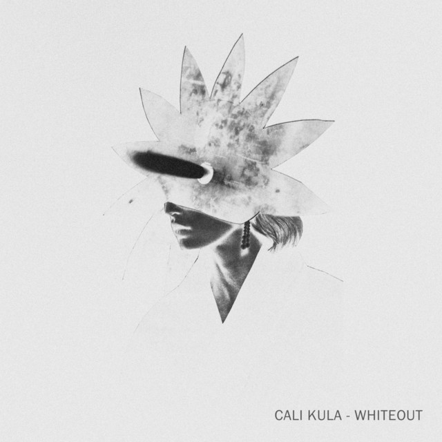 Whiteout cover art