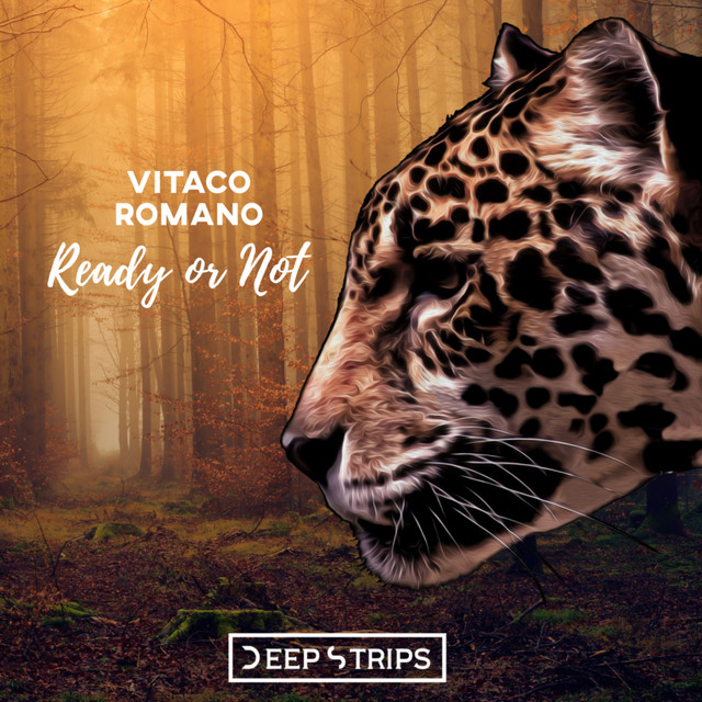 Ready Or Not cover
