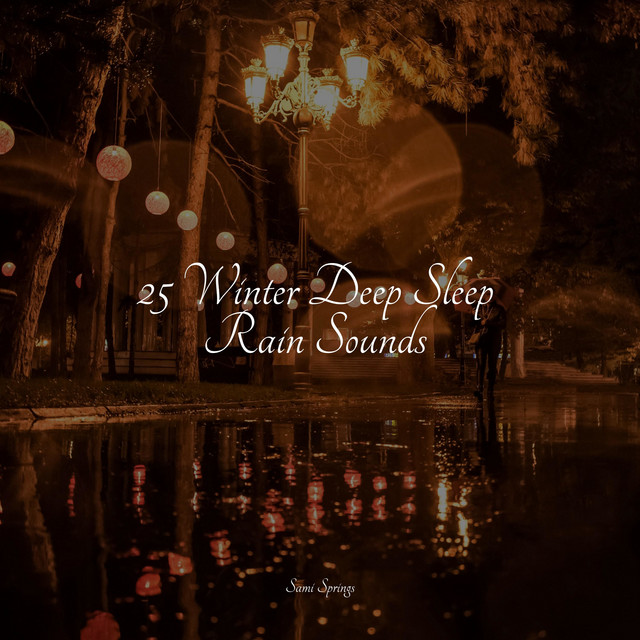 25 Winter Deep Sleep Rain Sounds - Album by Sleepy Times | Spotify