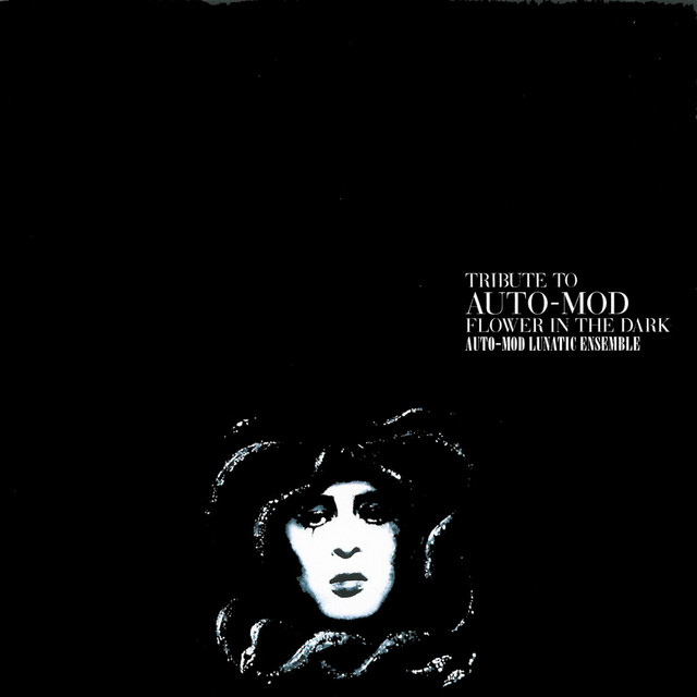 Tribute To Auto-Mod Flower In The Dark cover art