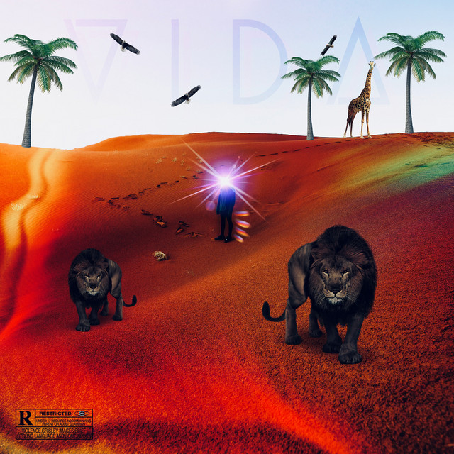 Vida cover art