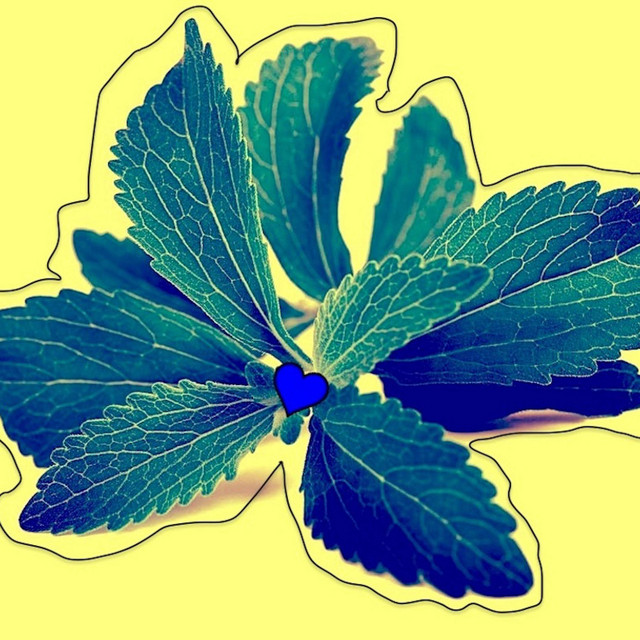Stevia cover art