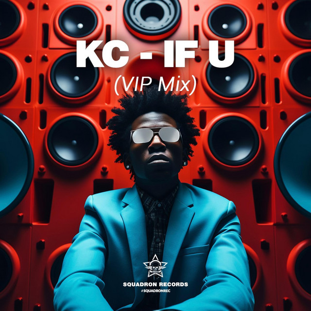 IF U - VIP Mix