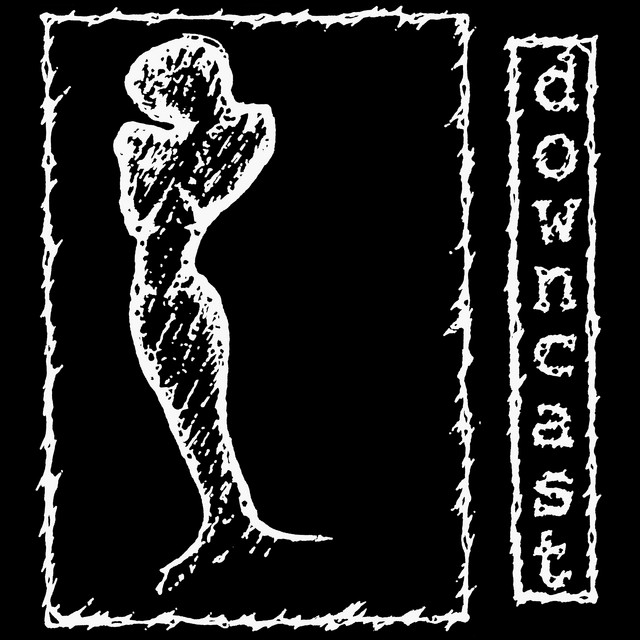 Downcast cover