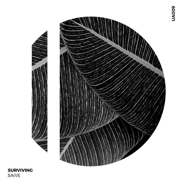 Surviving cover art