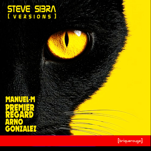 Distorted Border - Premier Regard Remix cover art