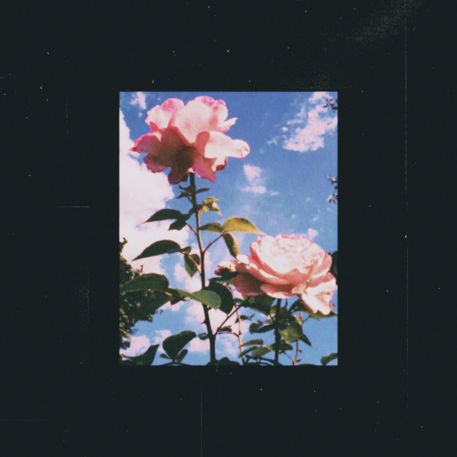 Blurry cover art
