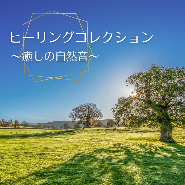 ★自然治癒力、右脳活性★ 音叉 ヒーリング 432Hz リラクゼーション★
