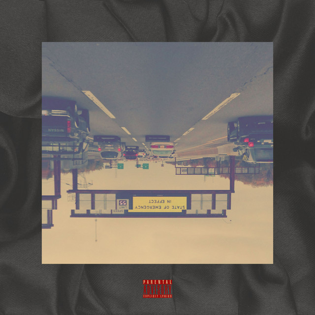 State Of Emergency cover art