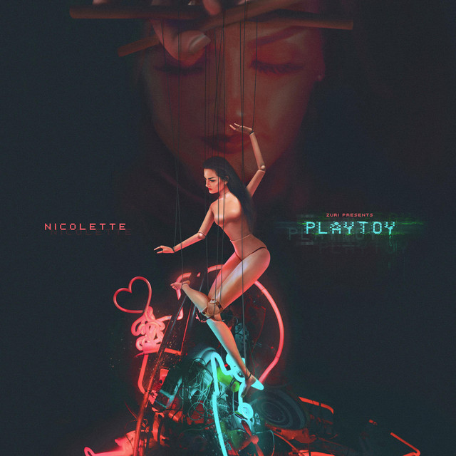 Playtoy cover art