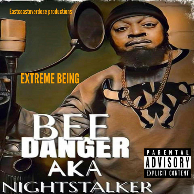 BEE Danger AKA Nightstalker