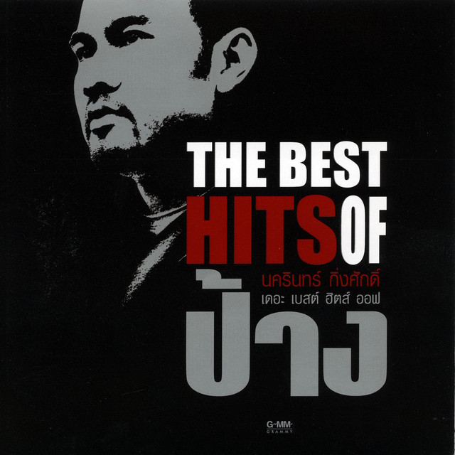 THE BEST HITS OF ป้าง by Pang Nakarin