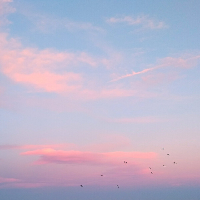where the sky meets the ground cover art