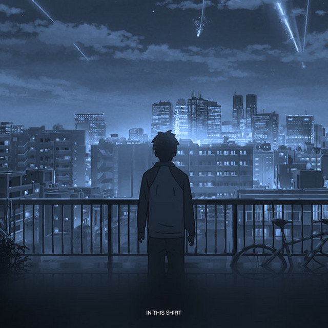 In This Shirt cover art