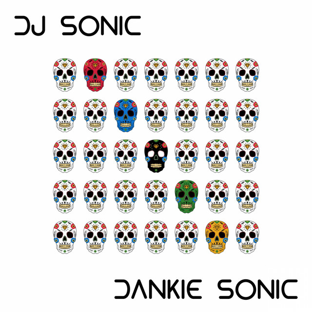 Dankie Sonic cover art