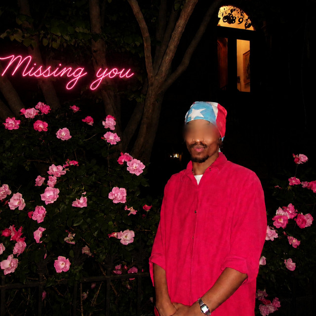 undefined album image