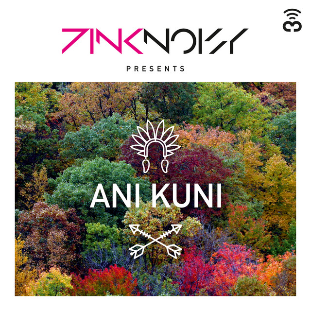 Ani Kuni