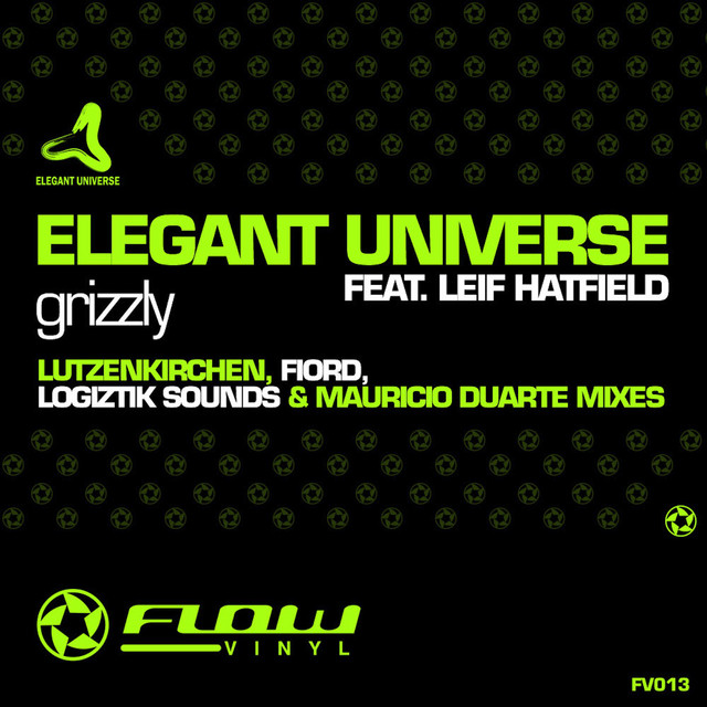 Elegant Universe cover art