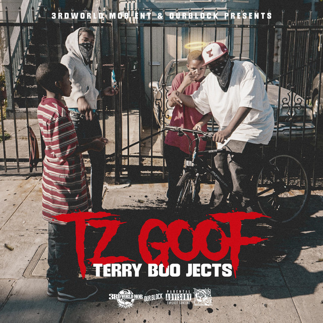 TERRY BOO JECTS