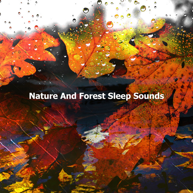 Nature And Forest Sleep Sounds ! ! ! ! ! - Album by Nature and Rain ...