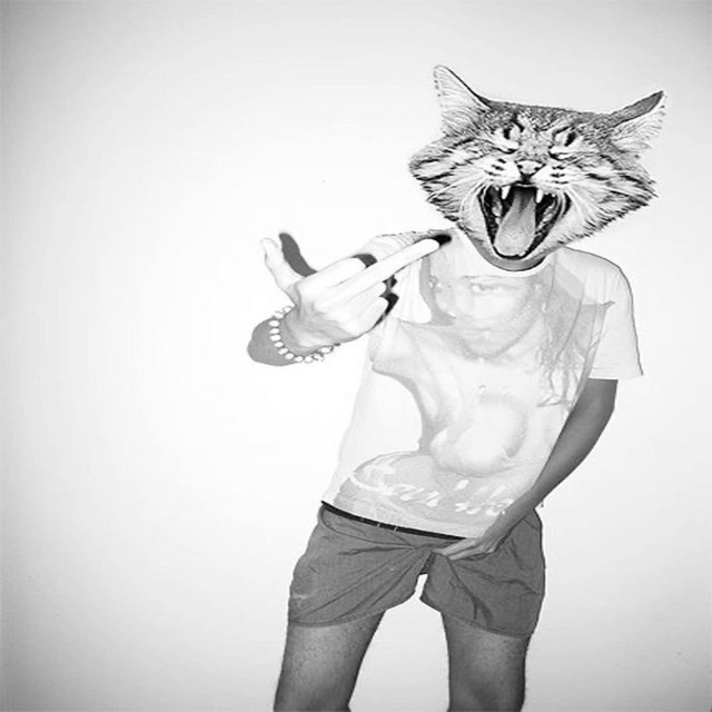 fuck the basic cover art