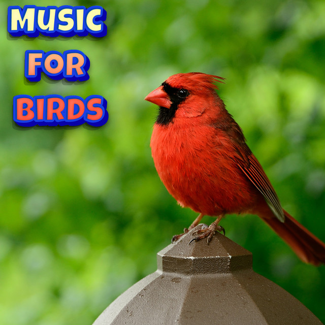 Classical Piano Music To Calm Your Birds cover art