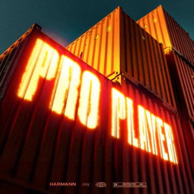 Pro Player cover art