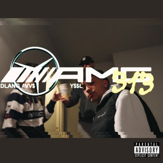 AMG 313 cover art