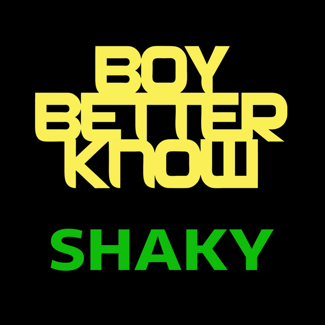 Shaky (feat. Newbaan, Boy Better Know) cover art