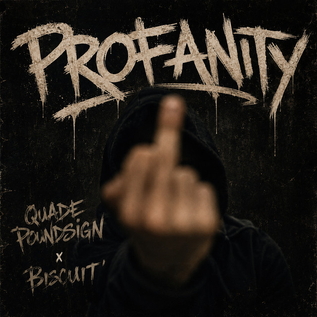 Profanity