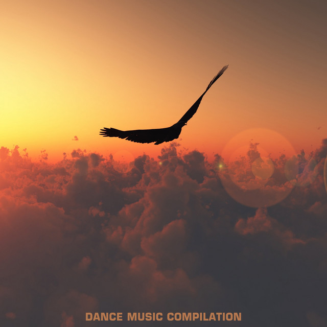 Dance Music Compilation, Vol.1 cover art