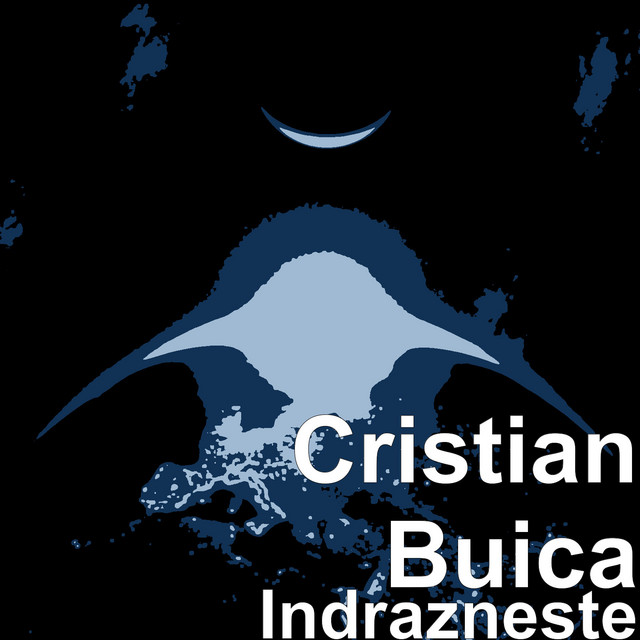 Cristian Buică Photo