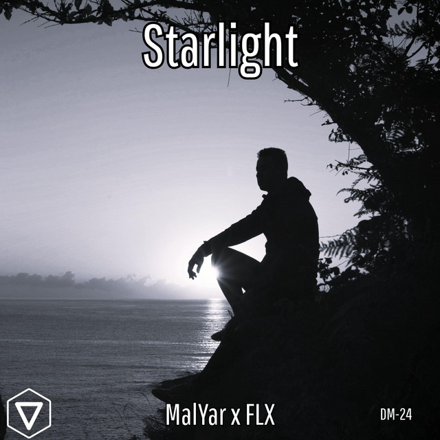 Обкладинка: Starlight — MalYar