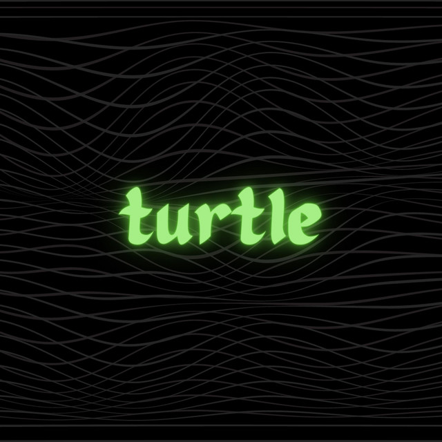turtle cover art