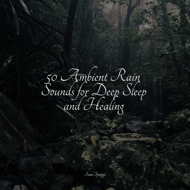 50 Ambient Rain Sounds for Deep Sleep and Healing - Album by Pro Sound ...