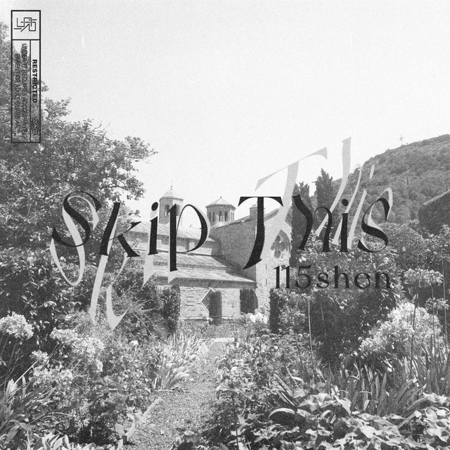 Skip This Again cover art