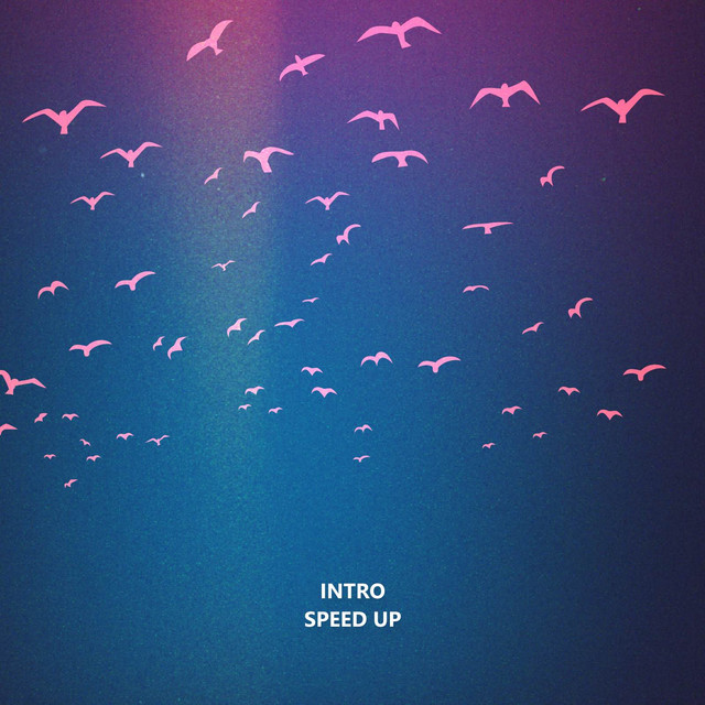 Обкладинка: Intro - speed up — YUIR