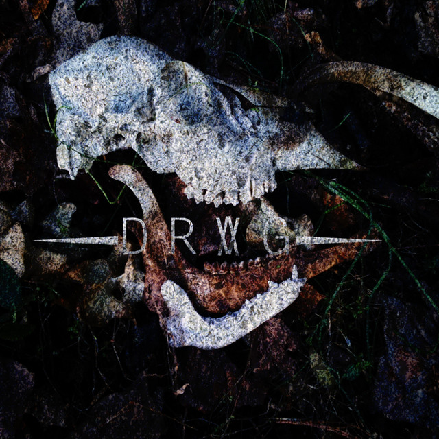 D R V G cover