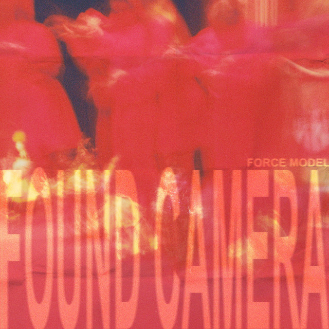 Found Camera cover art