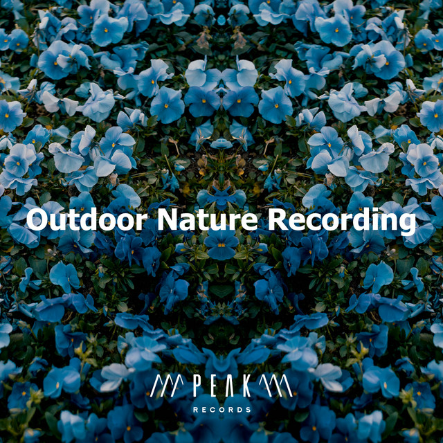 Outdoor Nature Recording - Album by Stereo Outdoor Sampling | Spotify