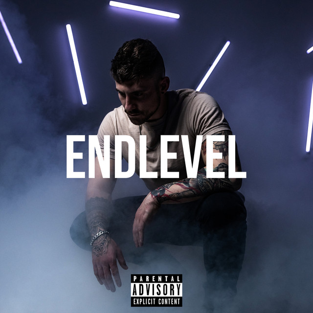 Endlevel cover art